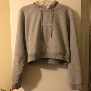 Alphalete crop hoodie